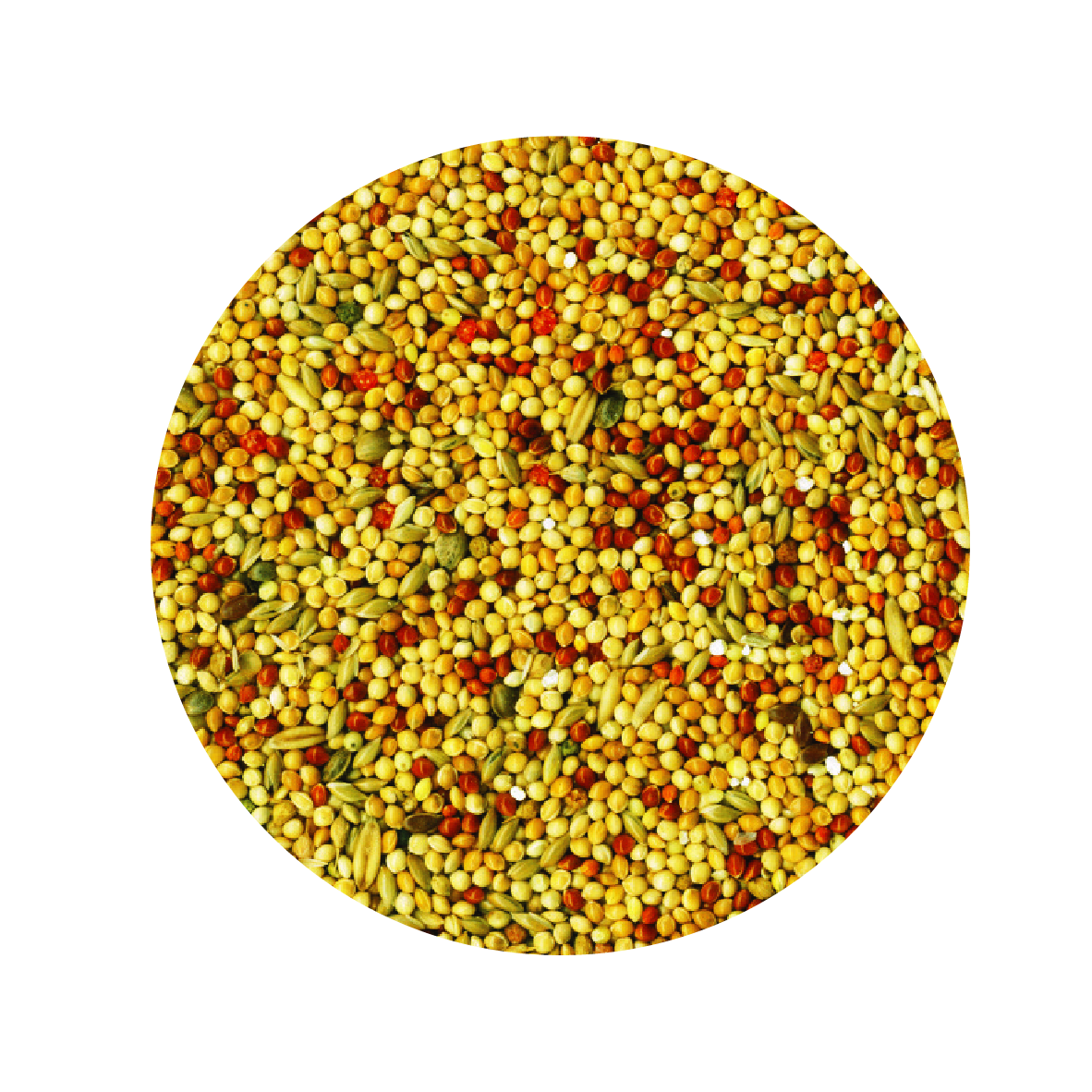 Alimento Importado Tropifit Budgie 700G