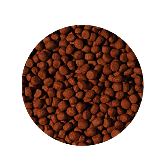 Alimento Tropical Cichlid Omnivore Medium Pellet 360G