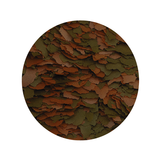 Alimento Tropical Cichlidcolor Flakes Xxl 50G