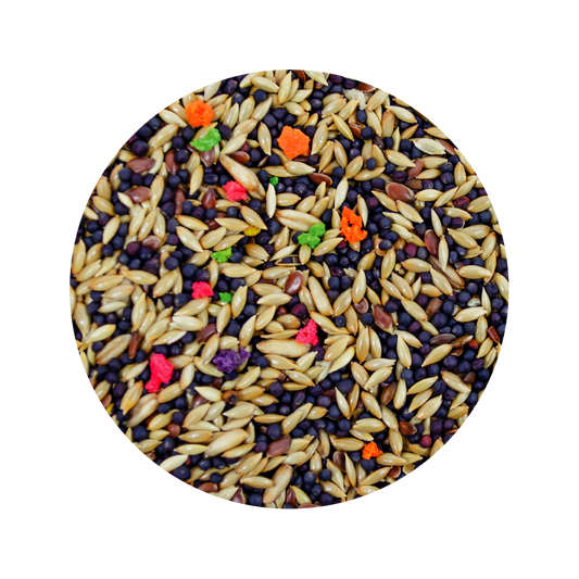 Alimento Importado Monte Verde Para Canarios, Finches Y Exoticos 500G (By Sunny-Tropifit)